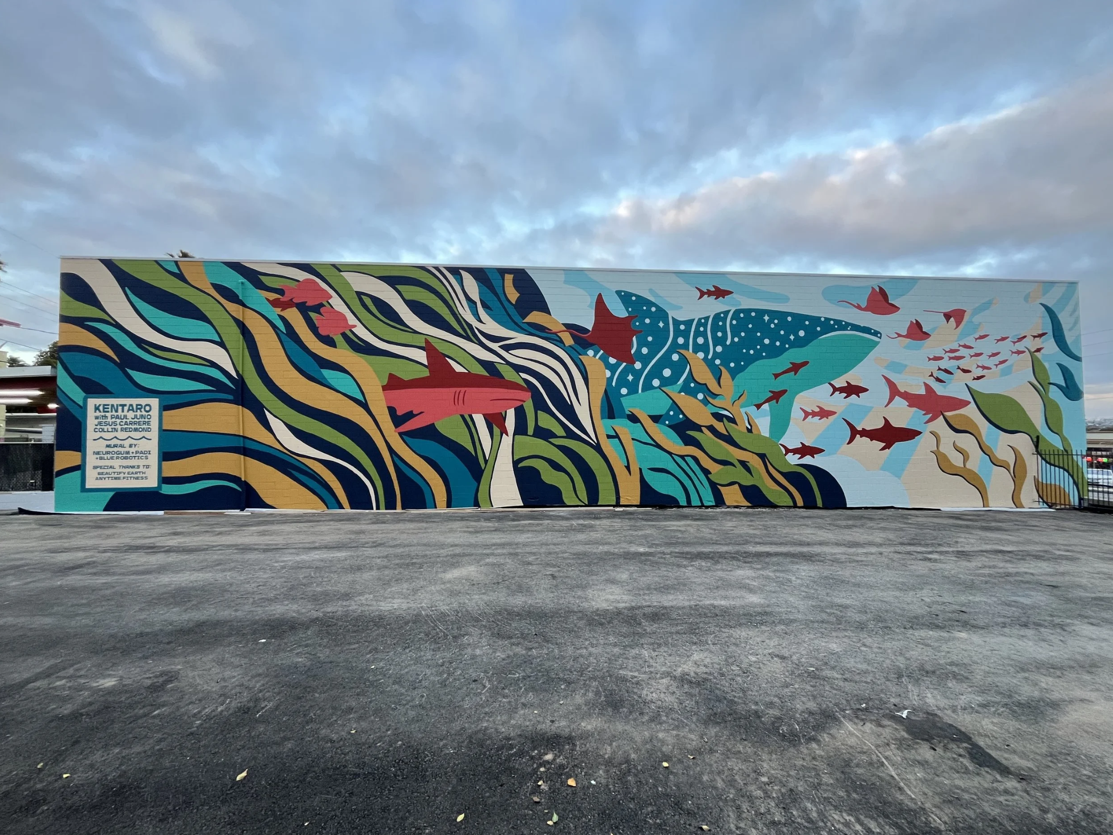 Mural Assists — Paul Juno Art